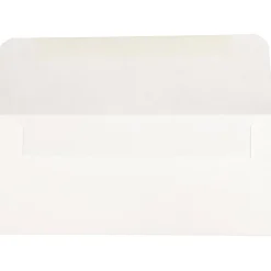 JAM Paper Currency Envelope, 3" x 6 11/16", White, 50/Pack (216313691H)