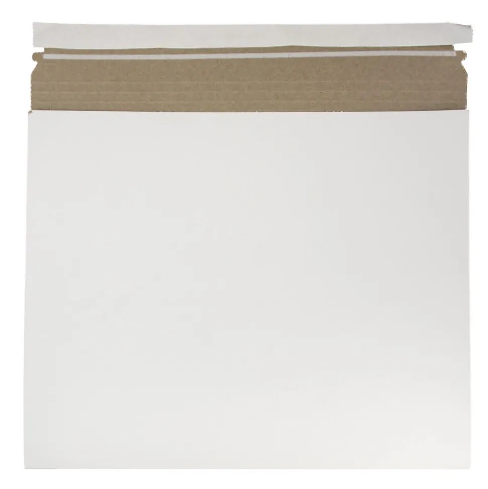 JAM Paper® Expandable Photo Mailer Envelopes with Self-Adhesive Closure, 15 x 12.5 x 1, White, Sold Individually (38906707)