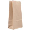 JAM Paper Kraft Lunch Bags, Brown, 25/Pack (690KRBR)