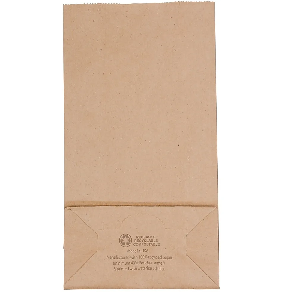 JAM Paper Kraft Lunch Bags, Brown, 25/Pack (690KRBR)