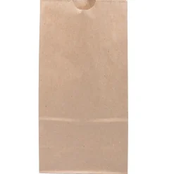 JAM Paper Kraft Lunch Bags, Medium, 9.75" x 5" x 3", Brown Kraft Recycled, 25/Pack (691KRBR)