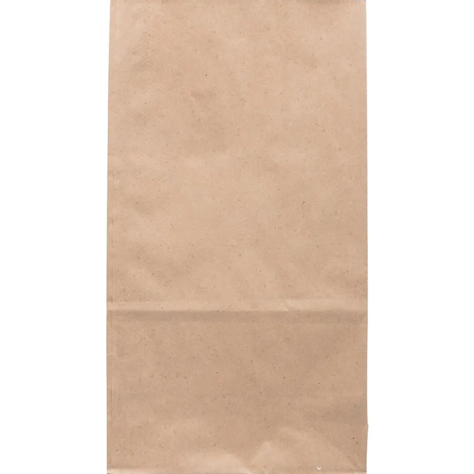 JAM Paper Kraft Lunch Bags, 11" x 6" x 3.5", Brown, 25/Pack (692KRBR)