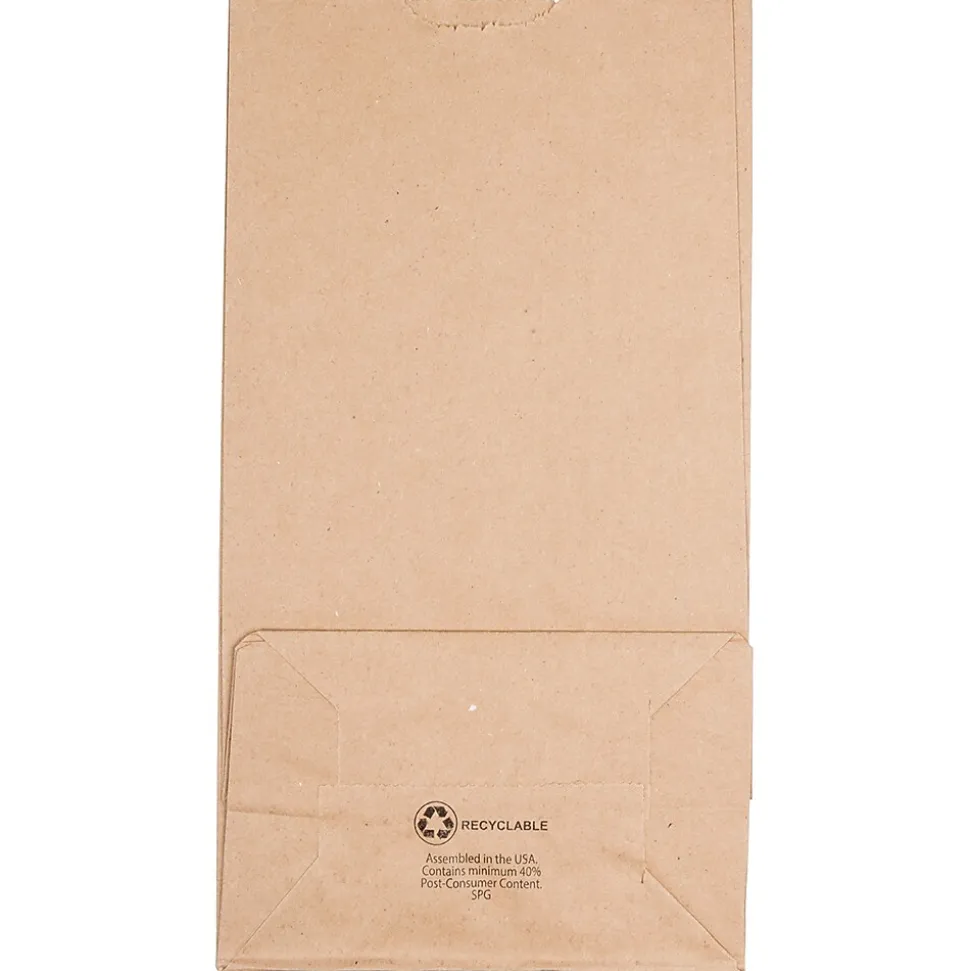 JAM Paper Kraft Lunch Bags, 11" x 6" x 3.5", Brown, 25/Pack (692KRBR)
