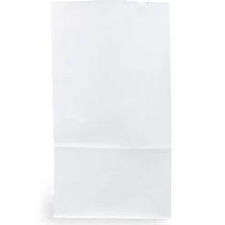 JAM Paper Kraft Lunch Bags, Large, 6" x 11" x 3.5", White, 25/Pack (692KRWH)