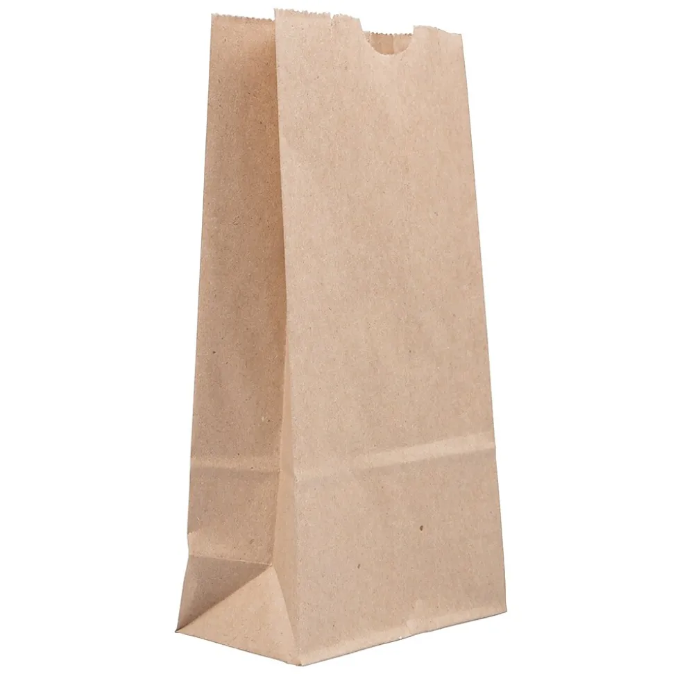 JAM Paper Kraft Lunch Bags, 8" x 4.25" x 2.25", Brown, 500/Pack (690KRBRB)