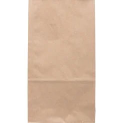 JAM Paper Kraft Lunch Bag, Large, 6" x11" x 3.5", Brown, 500/Pack (692KRBRB)