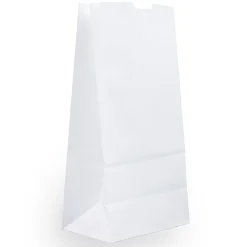 JAM Paper Kraft Lunch Bags, 9.75" x 5" x 3", White, 500/Box (691KRWHB)