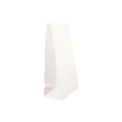 JAM Paper Kraft Lunch Bags, 9.75" x 5" x 3", White, 500/Box (691KRWHB)