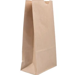 JAM Paper Kraft Lunch Bags, Medium, 5" x 9.75" x 3", Brown Kraft Recycled, Bulk 500 Bags/Box (691KRBRB)