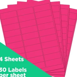 JAM Paper Laser/Inkjet Address Labels, 1 x 2 5/8, Neon Pink, 30 Labels/Sheet, 4 Sheets/Pack (354328011)
