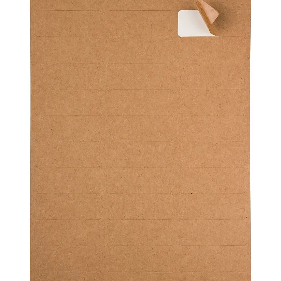 JAM Paper Laser/Inkjet Address Labels, 1" x 2 5/8", Brown Kraft, 30 Labels/Sheet, 4 Sheets/Pack (4513701)
