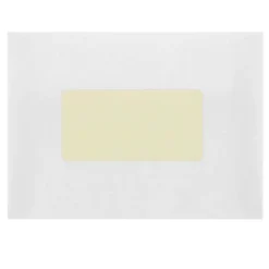 JAM Paper Laser/Inkjet Shipping Shipping Labels, 2