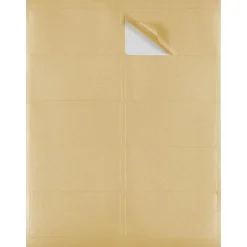 JAM Paper Laser/Inkjet Shipping Labels, 2