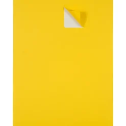 JAM Paper Laser/Inkjet Shipping Address Labels, 2