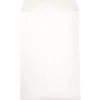JAM Paper Open End Catalog Envelope, 6" x 9", White, 50/Pack (1623192I)