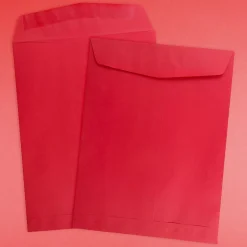JAM Paper Open End Catalog Envelope, 9