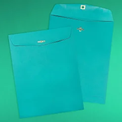 JAM Paper Open End Clasp Catalog Envelope, 9