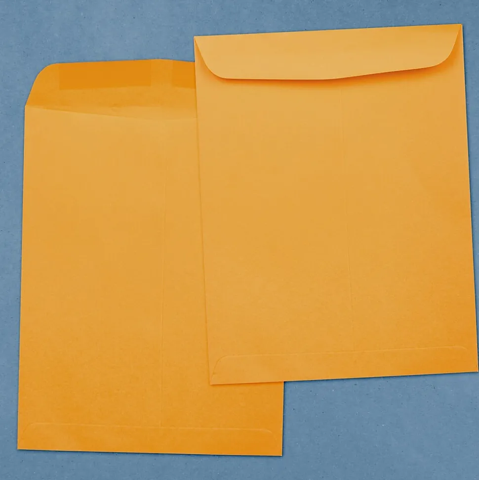 JAM Paper Open End Kraft Catalog Envelopes, 12" x 15 1/2", Brown Kraft, 25/Pack (900493255A)
