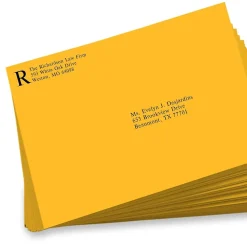 JAM Paper Open-End Envelopes, 9 x 12, Sunflower Yellow, 50 Pack (EX4894-12-50)