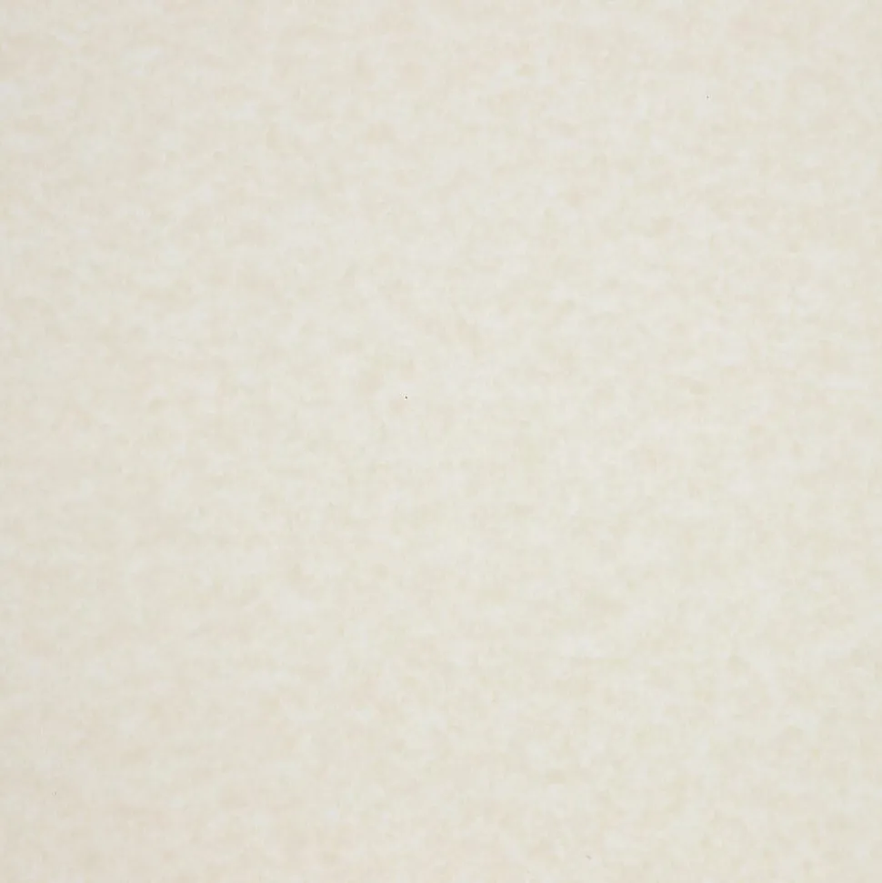 JAM Paper Parchment 65 lb. Cardstock Paper, 8.5" x 11", Brown, 250 Sheets/Ream (96700100B)