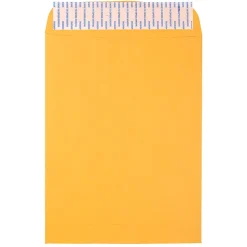 JAM Paper Peel & Seal Kraft Open End Catalog Envelope, 9" x 12", Brown, 500/Pack (13034231C)