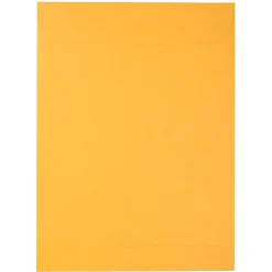 JAM Paper Peel & Seal Kraft Open End Catalog Envelope, 9