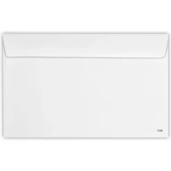 JAM Paper Security Tinted Booklet Envelope 5 3/4