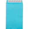 JAM Paper Self Seal Catalog Envelope, 6" x 9", Blue, 25/Pack (187947509)