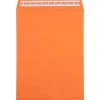 JAM Paper Self Seal Catalog Envelope, 9" x 12", Orange, 100/Pack (185747509D)