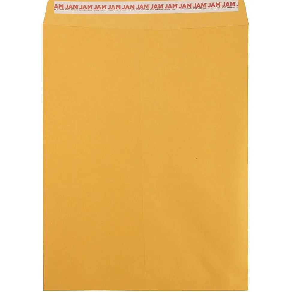 JAM Paper Self Seal Catalog Envelope, 12" x 15 1/2", Brown Kraft, 50/Pack (13034236I)