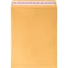 JAM PAPER Self Seal Catalog Envelopes, 10" x 13", Brown Kraft Manila, 100/Pack (13034233D)