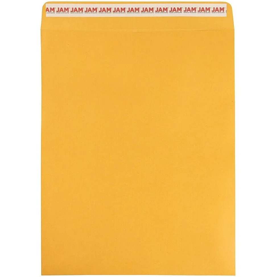 JAM Paper Self Seal Catalog Envelope, 11 1/2" x 14 1/2", Brown Kraft Manila, 100/Pack (13034235D)