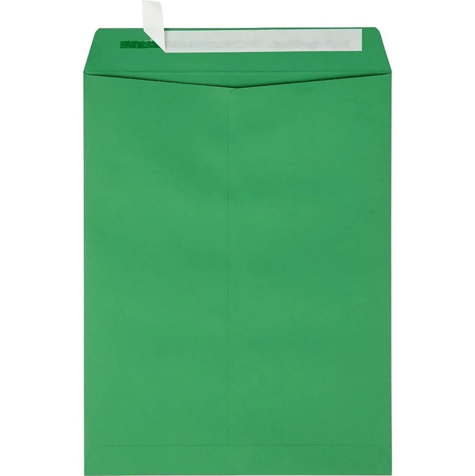 JAM Paper Self Seal Catalog Envelope, 9" x 12", Holiday Green, 500/Pack (FE-7280-12-500)