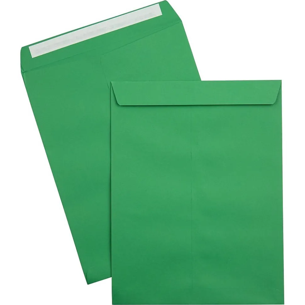 JAM Paper Self Seal Catalog Envelope, 9" x 12", Holiday Green, 500/Pack (FE-7280-12-500)
