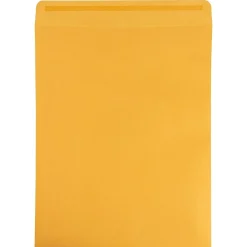 JAM Paper Self Seal Catalog Envelope 11 1/2