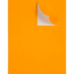 JAM Paper Shipping Labels, Large, 3 1/3 x 4, Neon Orange, 6 Labels/Sheet, 20 Sheets/Pack (354328043)