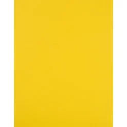 JAM Paper Shipping Labels, 8 1/2