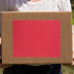 JAM Paper Shipping Labels, 8 1/2