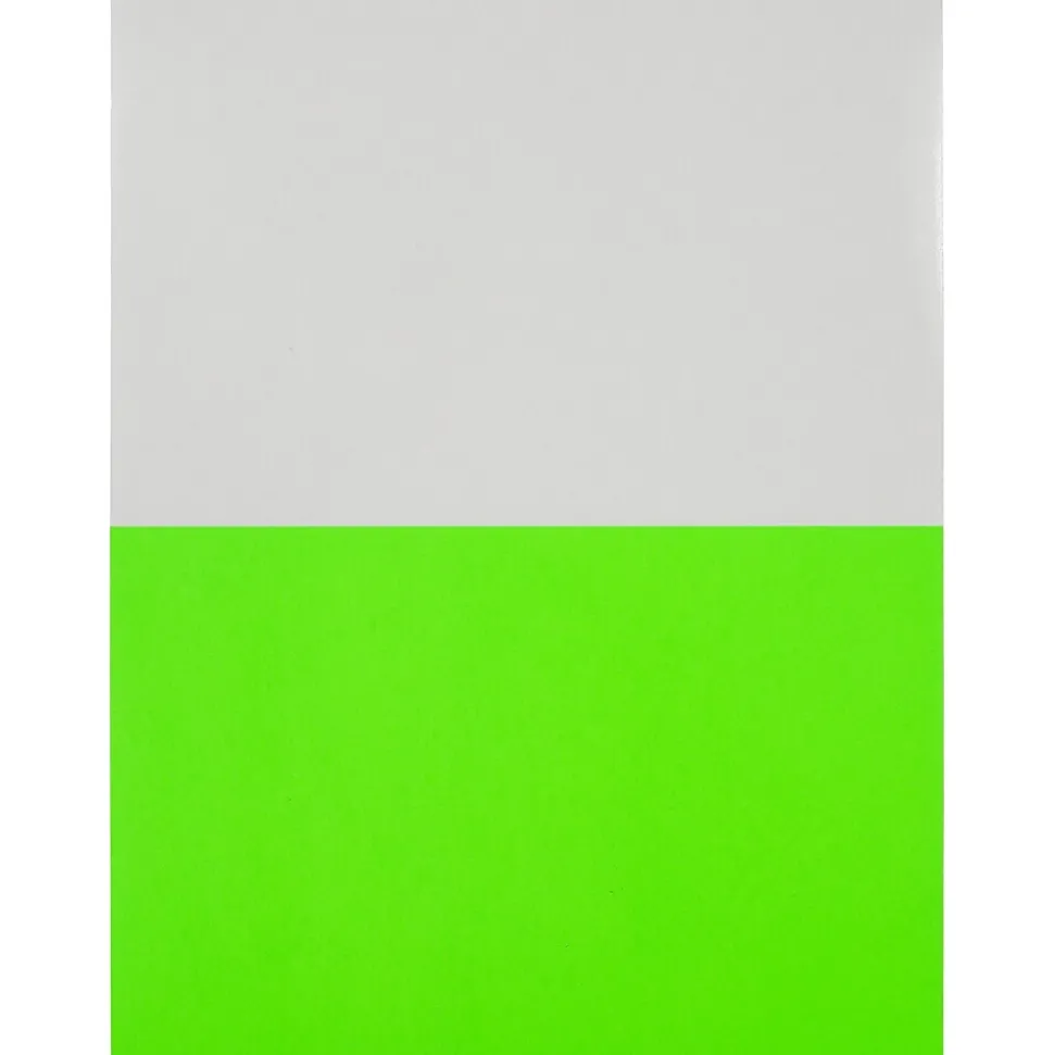 JAM Paper Shipping Labels, Half Page, 5 1/2" x 8 1/2", Neon Green, 2 Labels/Sheet, 25 Sheets/Pack (359429626)