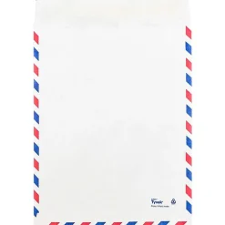 JAM Paper Tear-Proof Tyvek Open End Catalog Envelopes, 9