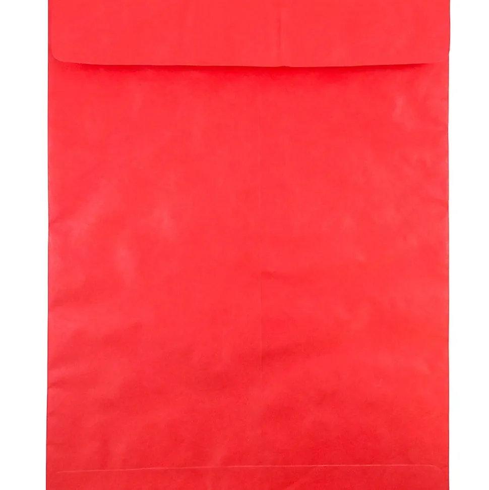 JAM Paper Tyvek Open End Clasp Catalog Envelope, 11 1/2" x 14 1/2", Red, 10/Pack (V021388B)