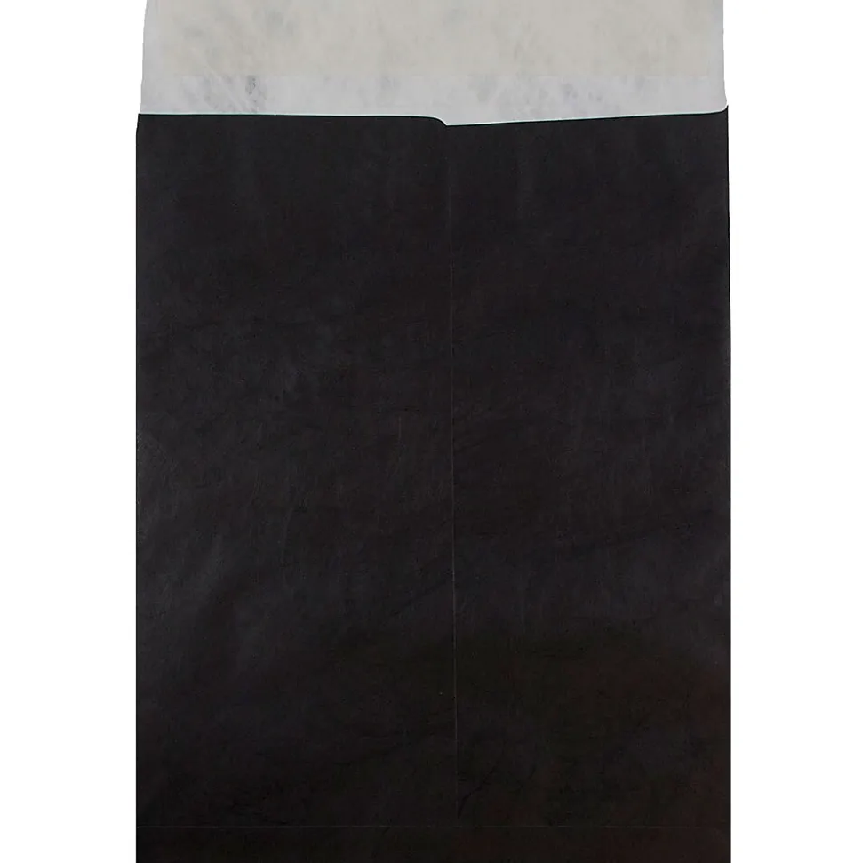 JAM Paper Tyvek Open End Open End Catalog Envelope, 11 1/2" x 14 1/2", Black, 10/Pack (V021386B)