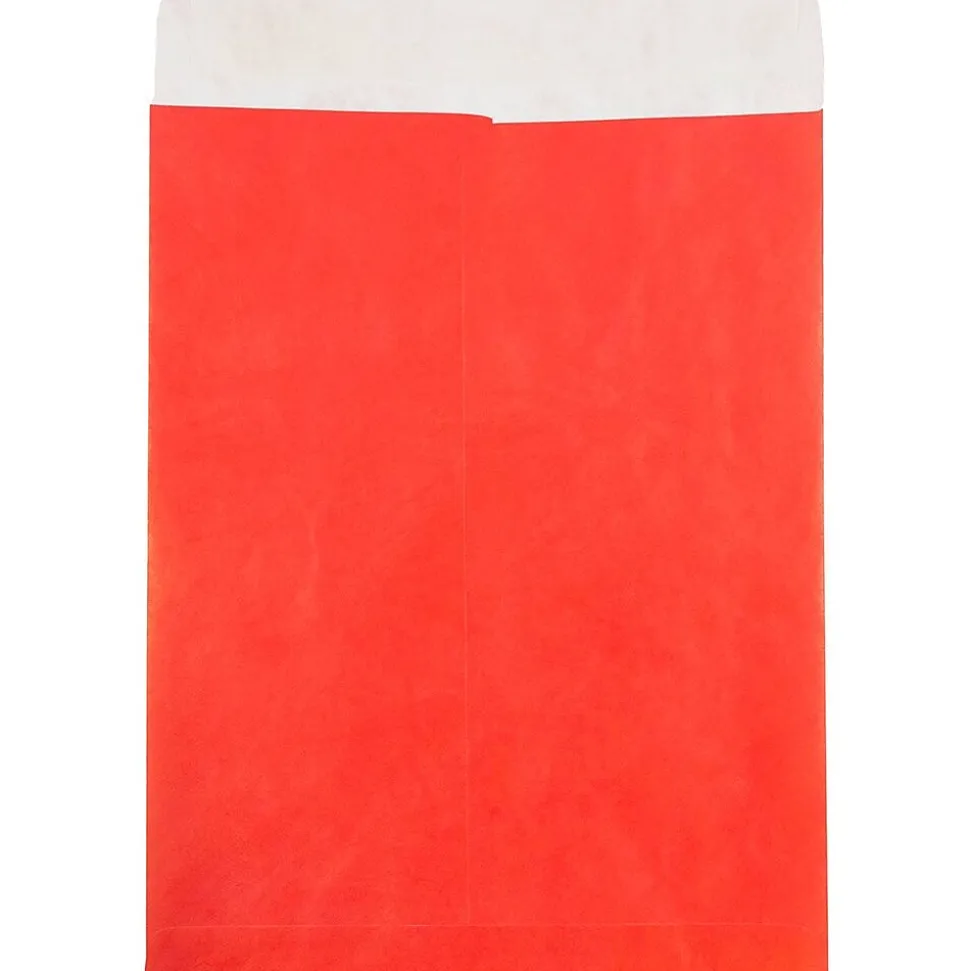 JAM Paper Tyvek Open End Open End #13 Catalog Envelope, 10" x 13", Red, 10/Pack (V021383B)