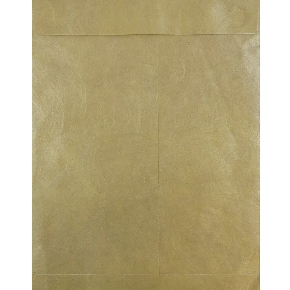 JAM Paper Tyvek Open End Clasp #13 Catalog Envelope, 10" x 13", Gold, 10/Pack (V021378B)