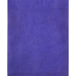 JAM Paper Tyvek Open End Open End #13 Catalog Envelope, 10" x 13", Blue, 10/Pack (V021377B)