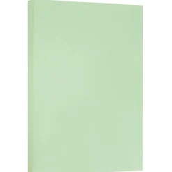 JAM PaperĀ® Vellum Bristol 67lb Cardstock, 11 x 17 Tabloid Coverstock, Green, 50 Sheets/Pack (16932836)