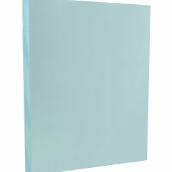 JAM PAPER Vellum Bristol Cardstock, 67lb, 100/pack (169820G)