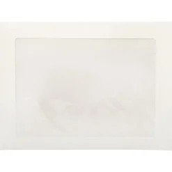 JAM Paper Window Envelope, 9" x 12", White, 25/Pack (223932)