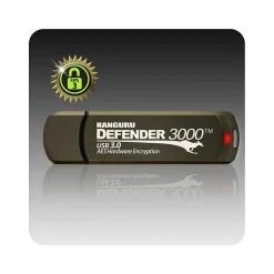 Kanguru Defender 3000 512GB USB 3.2 Flash Drive, Gold (KDF3000-512G)