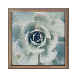 Kate & Laurel F2 Images Succulent 7 Cork Bulletin Board, Gold Frame, 1' x 1' (222048)